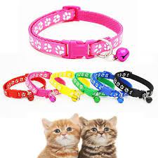 pin na doske kitten cat lovers