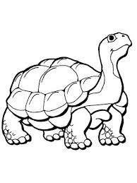 38+ tortoise coloring pages for printing and coloring. Pin On Inkleur