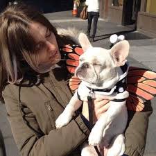 Wish me luck out there. And Most Importantly When She Illustrated How Luxurious It Is To Be A Butterfly Petunias Petunia Plant French Bulldog