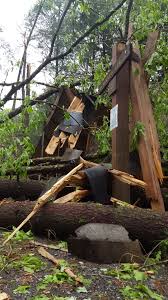 While damage from both the downburst and tornado was caused by strong winds, the two types of storms are very different. Downburst Not Tornado Damaged Trees At R B Winter News Dailyitem Com