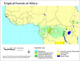 The world's tropical rainforests are in south and central america, africa, australia, and cover only about 6% of the earth's surface. The Scope And Health Of The African Rainforest