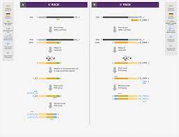 Use e.coli rnase h separately into the reaction to separate. Reverse Transcription Applications Thermo Fisher Scientific Id