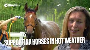 Why do we have handicap races? BHA Handicapper Matthew Tester explains