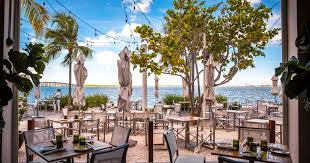 Image result for Faroa amara