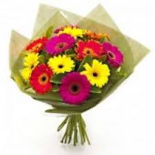 Maybe you would like to learn more about one of these? Flower Delivery Cancun Online Florist Cancun