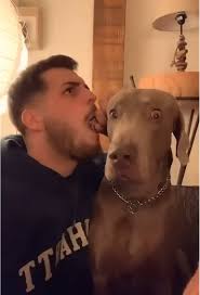 Divertido: Haciendo como si comiera a mi perro