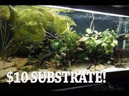 Sand For A Planted Aquarium Amazing Transformation Planted Aquarium Amazing Transformations Aquarium