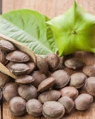 We did not find results for: Anim Agro Technology Khasiat Sacha Inci Apa Dia