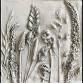 Botanical Casting with Judy Steinhilper