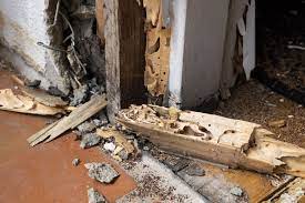 Are you seeing termites, droppings, kick out holes, damaged wood members? How Much Does Termite Damage Cost To Repair Active Pest Control