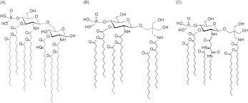 Pharmaceutical Analysis Of Synthetic Lipid A Based Vaccine Adjuvants In Poly D L Lactic Co Glycolic Acid Nanoparticle Formulations Sciencedirect