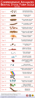 Revised Bristol Stool Chart By Aealacreatrananda On Deviantart Bristol Stool Chart Stool Chart Bristol Stool