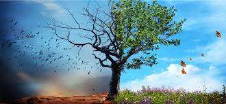 Resultado de imagem para mudanca