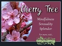 Red flowers are the closest symbolic likeness to the heart. Cherry Tree Meaning Symbolism Tree Symbolism Meanings
