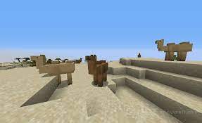 This was the first version of the java version (originally called just minecraft). Download Camels Mod For Minecraft 1 16 4 1 15 2 1 12 2 For Free