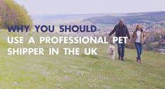 Door to door pet travel service across the uk and europe 77 Moving To The Uk Ideas Moving To The Uk Housing Options Expat