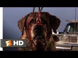 Cujo 7 8 Movie Clip Donna Is Bitten 1983 Hd Youtube