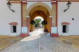 Image result for Atalaya alata