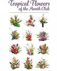 We did not find results for: Hawaiian Flowers Of The Month Tropical Hawaiian Flowers
