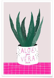 Manfaat lidah buaya untuk wajah telah dipuji luar biasa, namun jangan sepelekan efek samping yang bisa anda alami. Aloe Vera Poster Juniqe