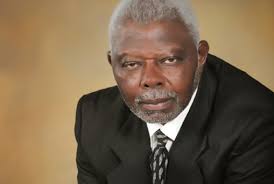 Celebrating heritage: Local artist and author releases book