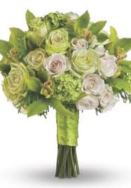 From roses to the most unique plants, let us send your love when you can't be there! Tubbs Of Flowers Florists The Knot
