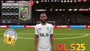 Image result for DLS 80