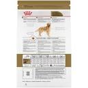 Golden Retriever - Royal Canin