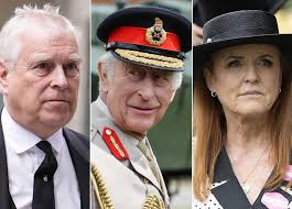 Shahida Raza kuoli haaksirikossa: etsi pojalleen sairaanhoitoa