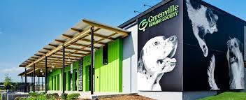 Awesome Modern Building Greenville Humane Society Humane Society Animal Shelter Dog Boarding Facility