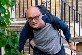 Durham police have investigated dominic cummings' relocation of his family to durham during lockdown. Michael Gove Says Dominic Cummings Drive To Barnard Castle To Test His Eyes Was Wise And Sensible Wales Online