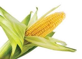 Jeruk medan jeruk pontianak manalagi рерауа pisang rebus semangka. Manfaat Kulit Jagung Manfaat Co Id