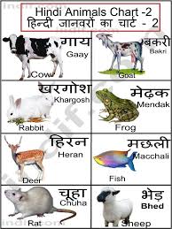 Hindi Animals Chart Hindi Language Learning Hindi
