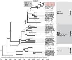Download dengue dengue dengue torrent for free, direct downloads via magnet link and free movies online to watch also available, hash dengue dengue dengue. Emergence Of Genotype Cosmopolitan Of Dengue Virus Type 2 And Genotype Iii Of Dengue Virus Type 3 In Thailand Plos One X Mol