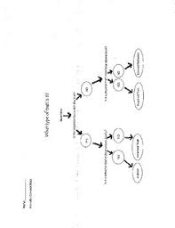 Heredity Flow Chart