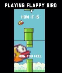 Flappy Bird Memes Posts Facebook