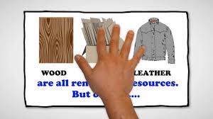 Examples Of Renewable Resources
