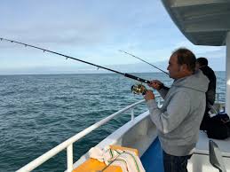 Vous retrouverez ainsi toutes les. Peche En Mer Au Large En Normandie