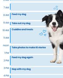 Profile for EarthWise Pet Supply & Grooming Liberty