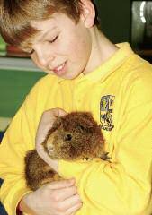 Walking for animals! All about pet training From strays to superstars All  you need is love