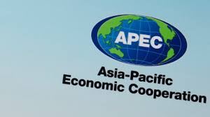 De 21 afzonderlijke bloembladen van de bloem vertegenwoordigen de geest. Apec Summit To Be Held Online Dec 4 Due To Virus Pandemic