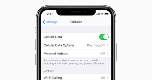 Check The Cellular Data Usage On Your Iphone And Ipad
