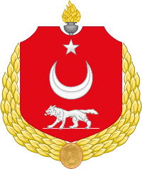 Formadaki 'logo' detayı sosyal medyada tartışma yarattı. Turkiye Armasi Vikipedi