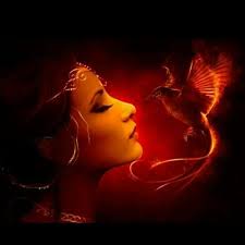 Introduction to Carnivorous Plant Enthusiast with Over 30 Plants