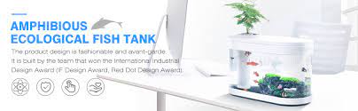 Amazon Com Neverland Xiaomi Geometry Fish Tank Aquaponics Ecosystem Small Water Garden Home Decor Pet Supplies