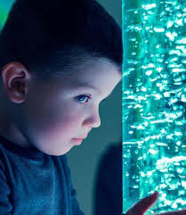 Rockinghorse Annual Review