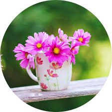 Amazon Com English Good Morning Good Night Wishes Appstore For Android .morning wishes, good morning love wishes for gf/bf, latest morning wishes images in english, beautiful good day wishes for whatspp and good morning wishes for beloved. good morning good night wishes