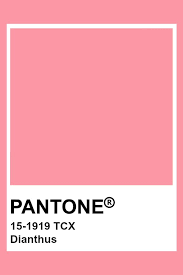Pin By Lara Green On Logo Pantone Colour Palettes Pantone Pink Pantone Pink Shades