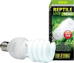 Exo Terra Tropical Uvb 100 Reptile Lamp 26 W Bulb Chewy Com In 2020 Bulb Tropical Terrariums Energy Saving Bulbs