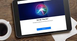 Open your iphone 11 settings. Hey Siri Activate Siri With Your Voice Ipados 14 Guide Tapsmart